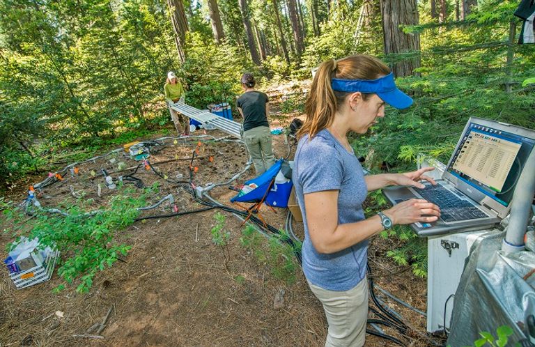 إحدى الباحثات المشاركات بالدراسة أثناء إجراء التجارب