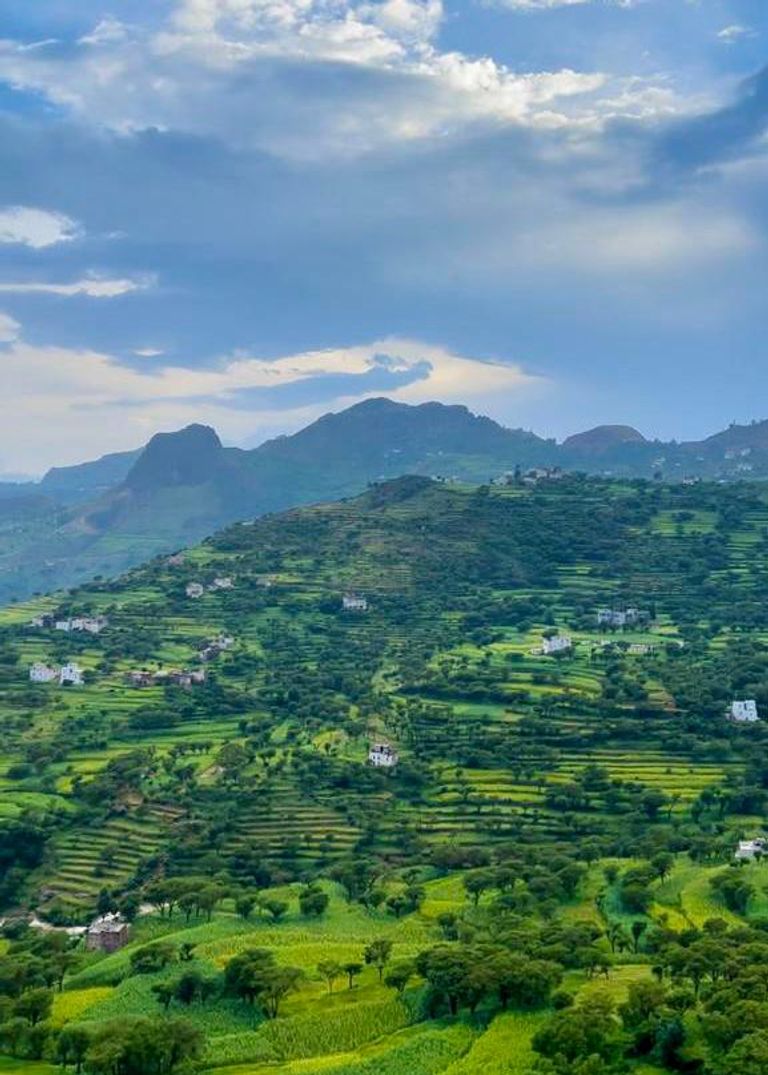 محمية عتمة البرية في اليمن