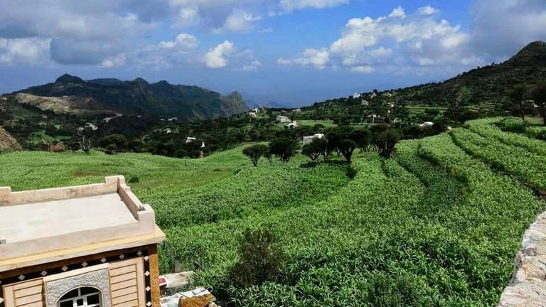 محمية عتمة البرية في اليمن