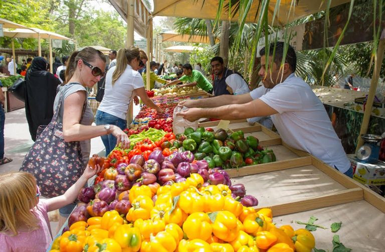 سوق المزارعين أحد أفضل أماكن التسوق في فونشال السياحة في فونشال… أجمل الإطلالات وأفضل 8 أنشطة سياحية