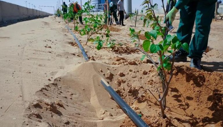 السعودية تزرع  130 ألف شجرة للارتقاء بخدمة الحجاج- واس