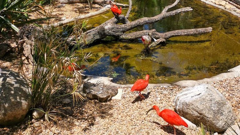 الغارف.. وجهة برتغالية للسياحة العائلية