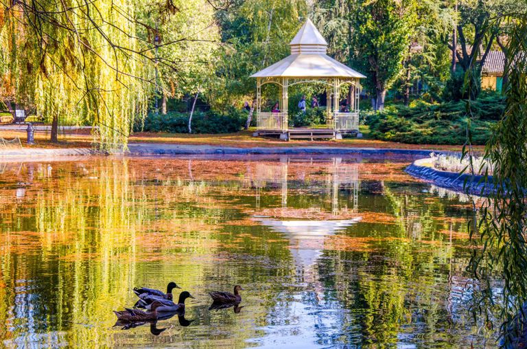 حديقة دونافسكي أحد أفضل أماكن السياحة في نوفي ساد السياحة في نوفي ساد… اكتشاف جمال المدينة وأنشطتها الترفيهية