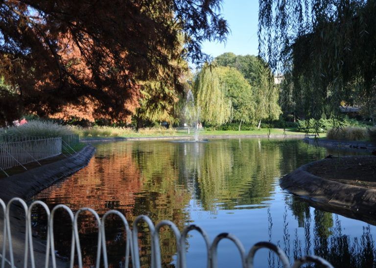 أنشطة ترفيهية في نوفي ساد السياحة في نوفي ساد… اكتشاف جمال المدينة وأنشطتها الترفيهية