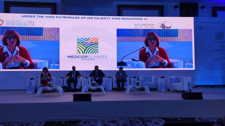نائبة رئيس دار المناخ المتوسطية ورئيسة مؤسسة "كونيكتين غروب الدولية" منتدى