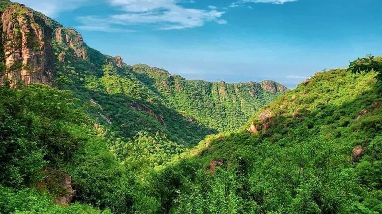 محمية برع باليمن