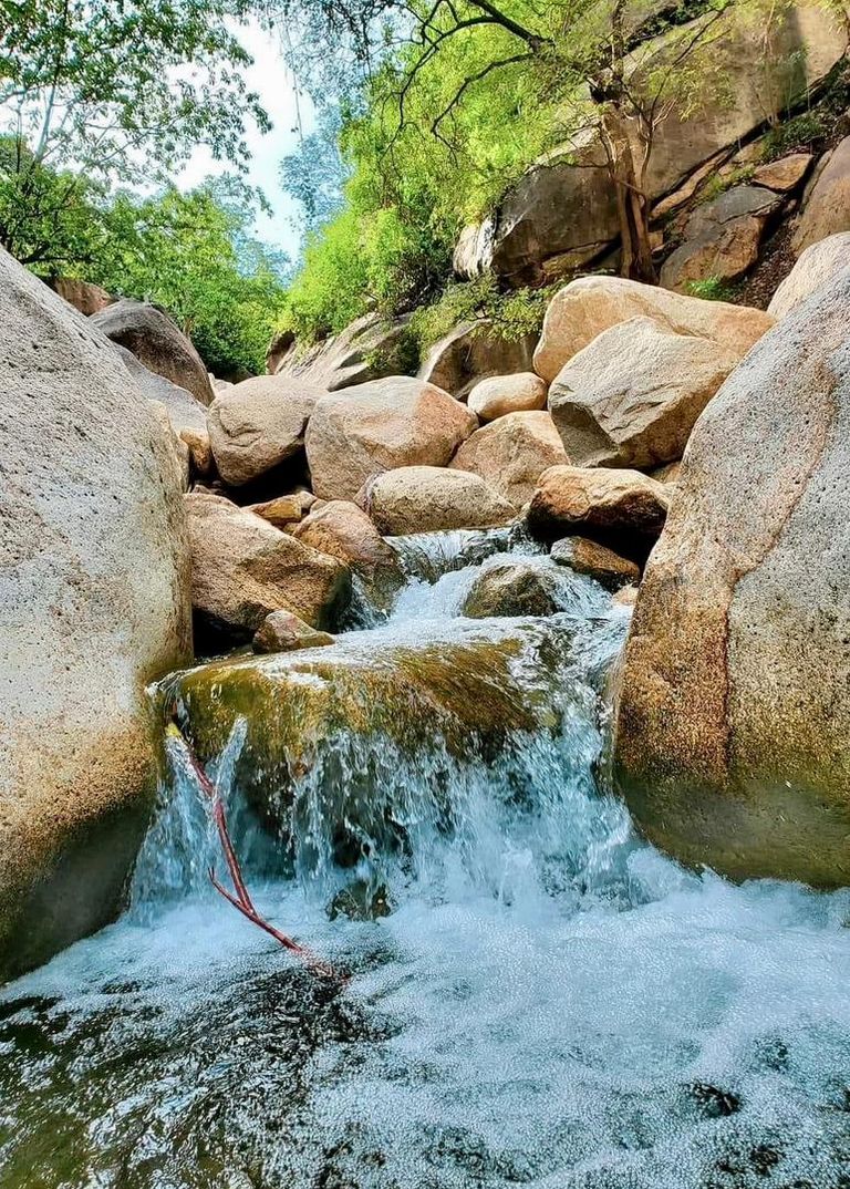 محمية برع باليمن