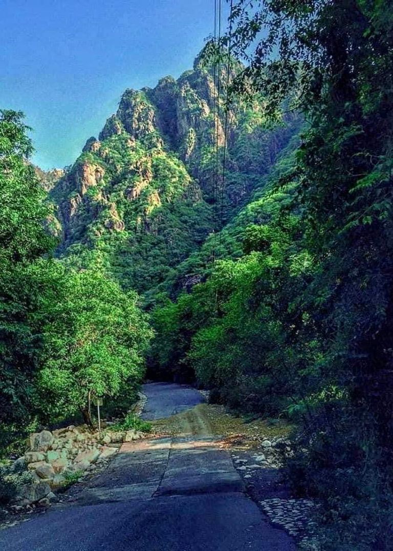 محمية برع باليمن