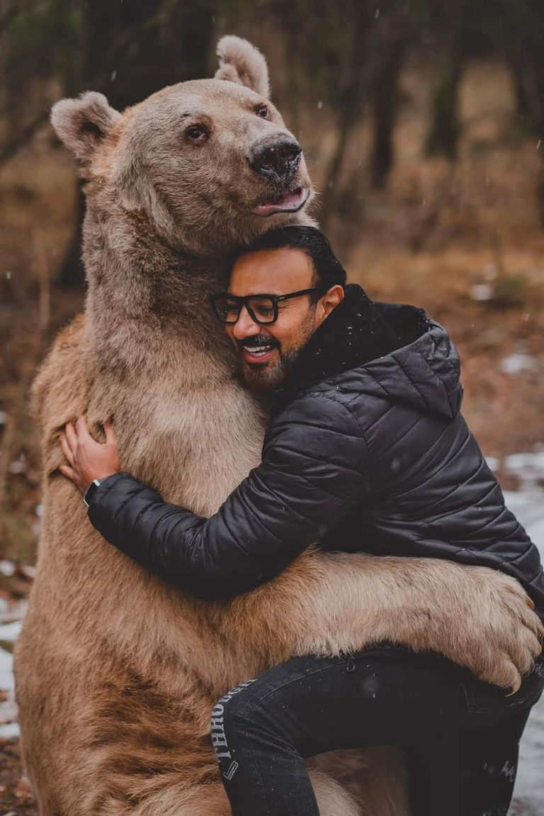 الشاب المصري في حضن أنثى الدب