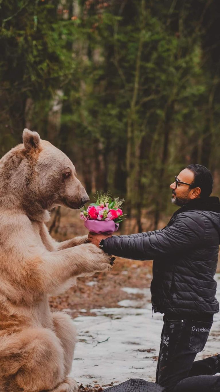 الشاب المصري في حضن أنثى الدب