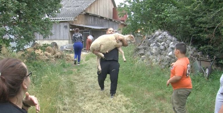 مسلمون يفحصون إحدى الأضاحي في بلجيكا