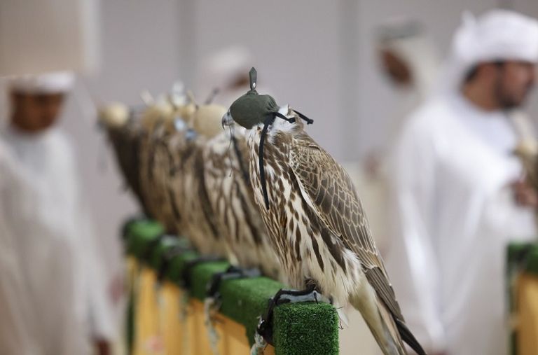 شعار المعرض الدولي للصيد والفروسية (أبوظبي 2023)