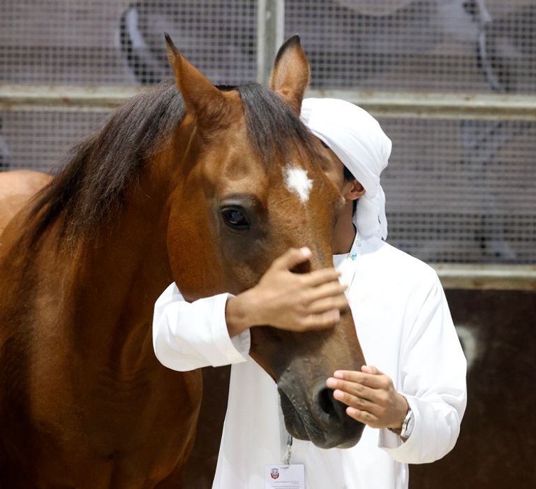 شعار المعرض الدولي للصيد والفروسية (أبوظبي 2023)