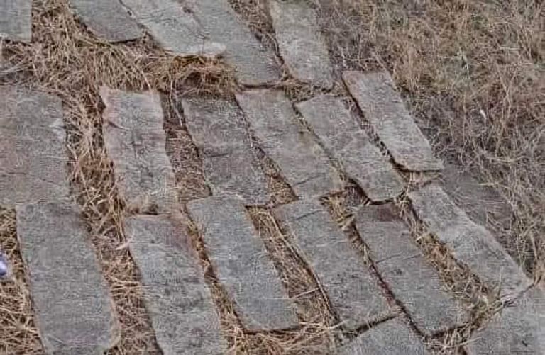 قوات تابعة للجيش الصومالي