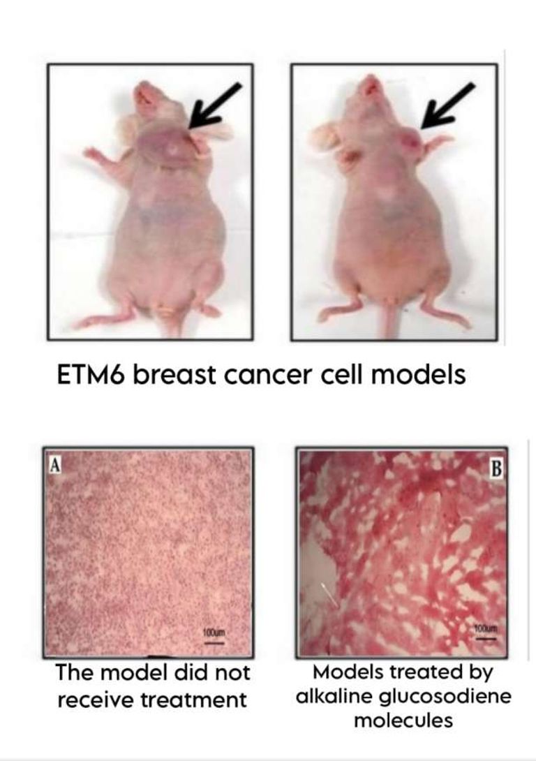 الباحث المصري ماهر منير