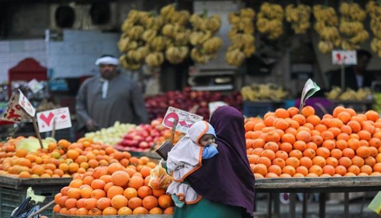 بائع فاكهة في مصر- رويترز