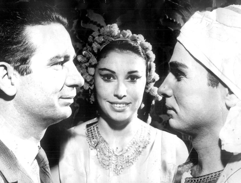 الفنان محمود رضا