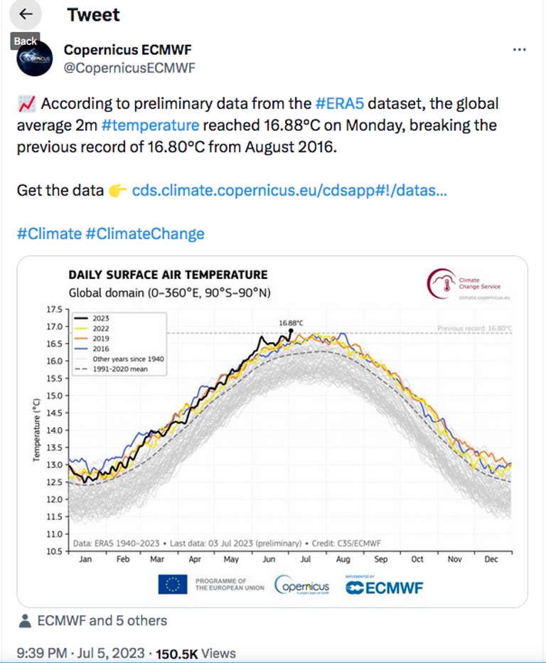 امرأة تمشي في بكين وهي تضع كمادات باردة على جبهتها ورقبتها 
