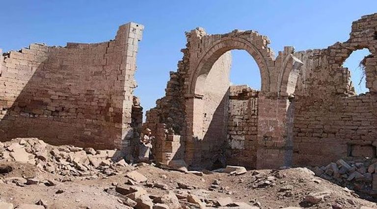 قصر إبريم الذبابة المنزلية