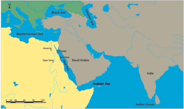 طريق التجارة بين مصر القديمة والهند الذبابة المنزلية