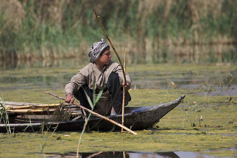 التغيرات المناخية تقود للنزوح من الريف إلى المدن في العراق آثار الجفاف في محافظ الديواني العراقية