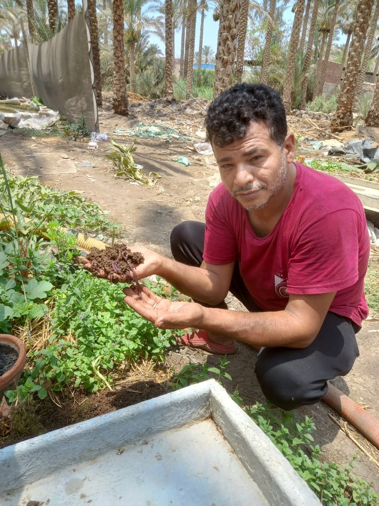محمود بسيوني فخور بما حققه بفعل سماد الفيرومي كومبوست المنتج بواسطة الدود