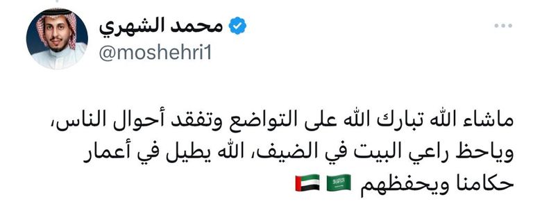 الشيخ محمد بن زايد آل نهيان رئيس دولة الإمارات