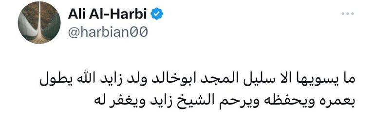 الشيخ محمد بن زايد آل نهيان رئيس دولة الإمارات