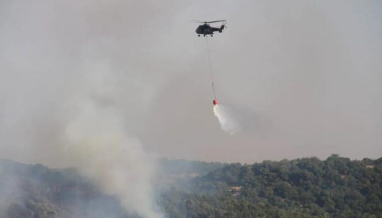الطائرات تساعد في إخماد حريق غابات الأردن