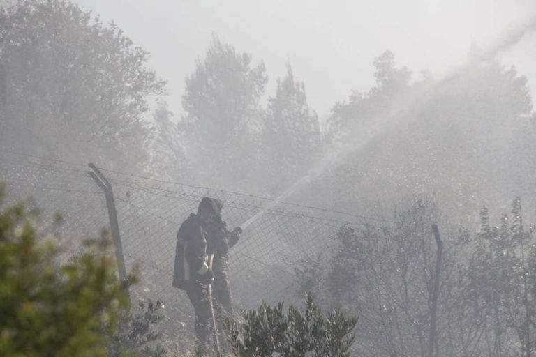 الطائرات تساعد في إخماد حريق غابات الأردن