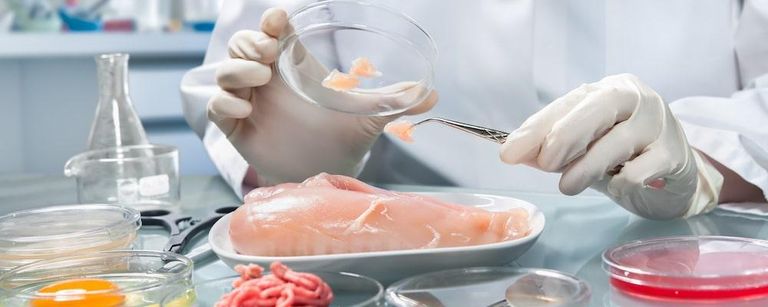 أسباب تلوث الطعام أنواع تلوث الغذاء وأسبابه
