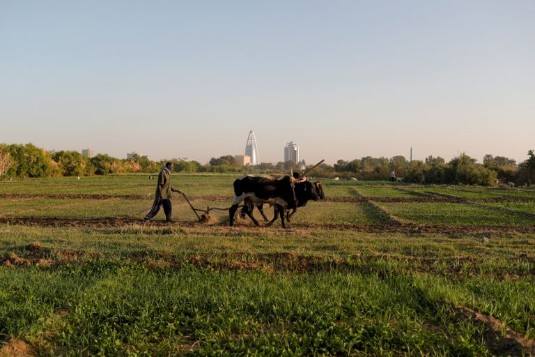 السودان ينشد الاستقرار