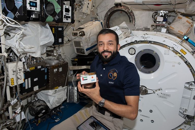 علاقات إماراتية يابانية متنامية لصالح البلدين والعالم