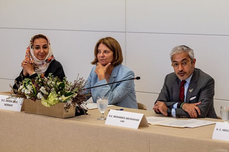 الإمارات تبحث أهمية الطاقة المتجددة في عمليات حفظ السلام