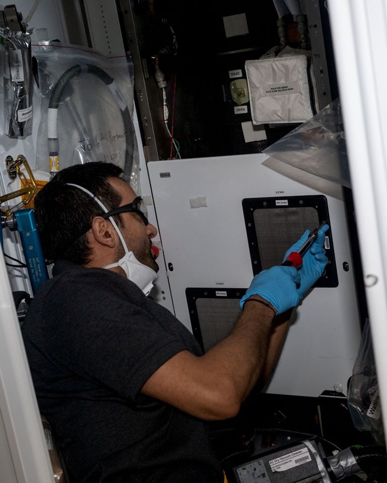 سلطان النيادي