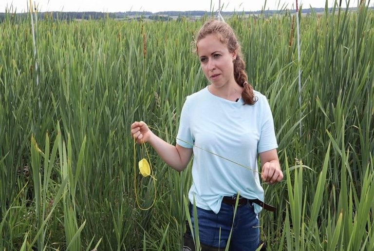 عالمة الأحياء ميلينه بريندل