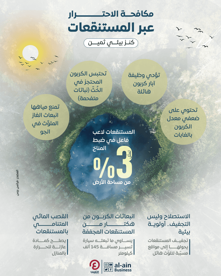 مكافحة الاحترار عبر استصلاح المستنقعات