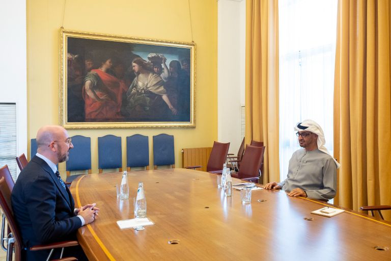 الشيخ محمد بن زايد آل نهيان رئيس دولة الإمارات والرئيس التونسي