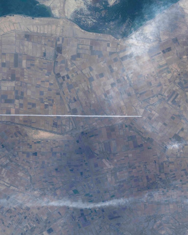 الصورة التي نشرها سلطان النيادي