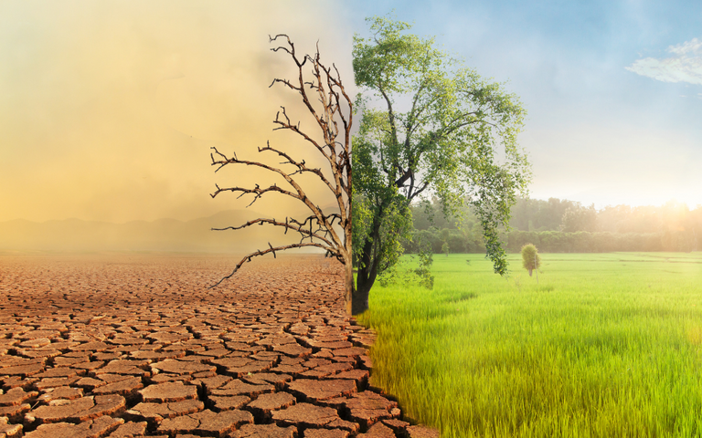 حتمية حماية الغذاء أنماط زراعة مستقبلية لمواجهة التغير المناخي