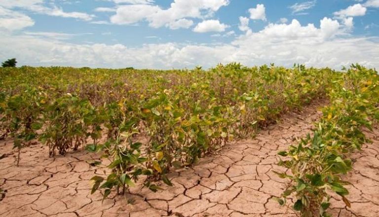 تغير المناخ يؤثر بشكل كبير على قطاع الزراعة 