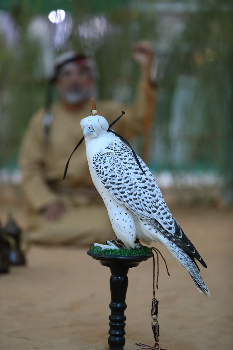 جانب من المعرض