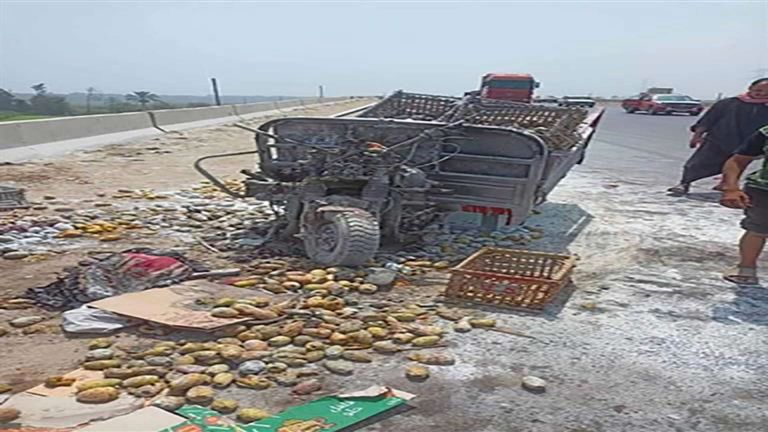 الراحلة هدى الشرقاوي أشهر بائعة تين في بنها