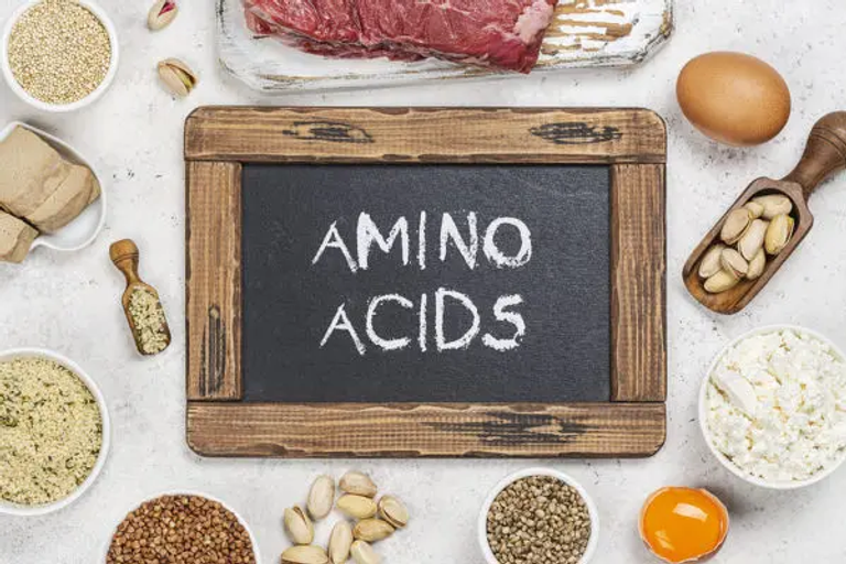 مصدر للأحماض الأمينية فوائد الأحماض الأمينية