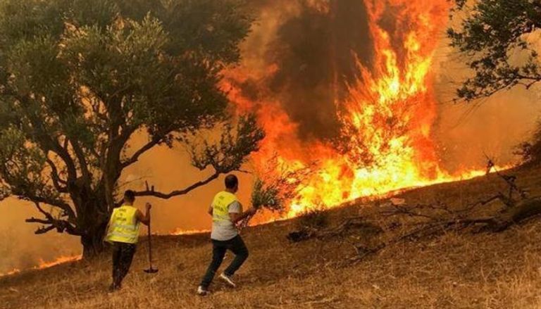 محاولات إطفاء حرائق الغابات في الجزائر