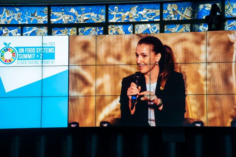 قمة الأمم المتحدة للنظم الغذائية +2 (لحظة التقييم)