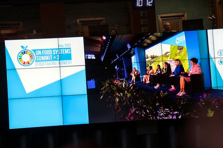قمة الأمم المتحدة للنظم الغذائية +2 (لحظة التقييم)