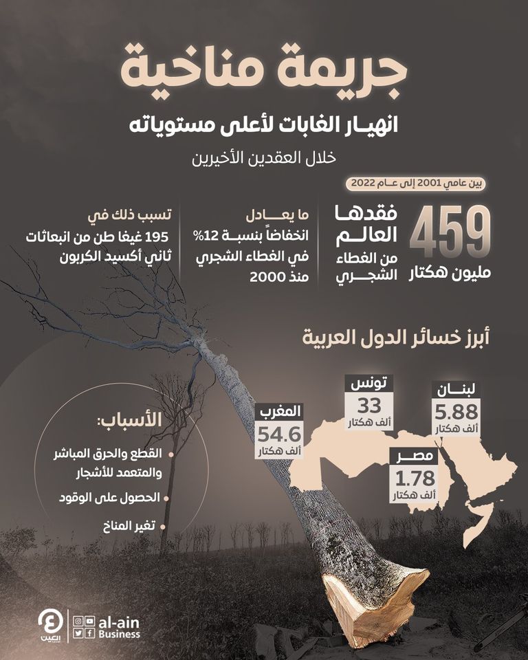 انهيار الغابات حول العالم