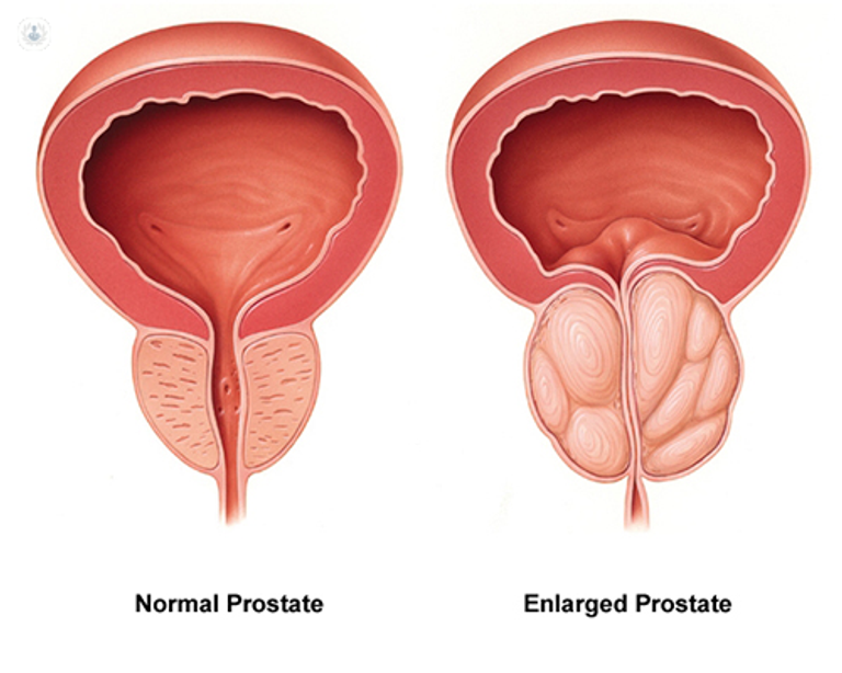 خبراء مستشفيات أجيبادم