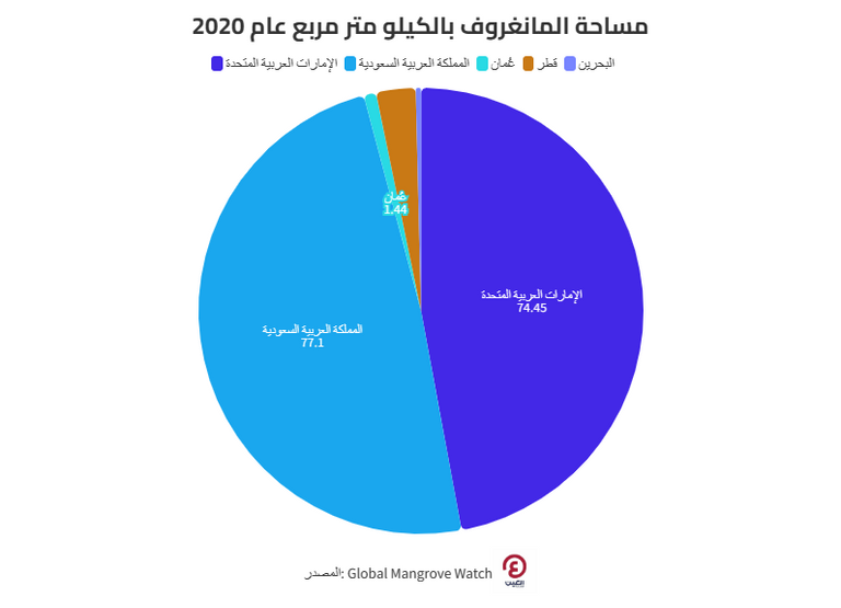 مساحة المانغروف في خمس دول  أشجار المانغروف - أرشيفية